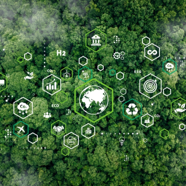 COP30, packaging, and Korozo